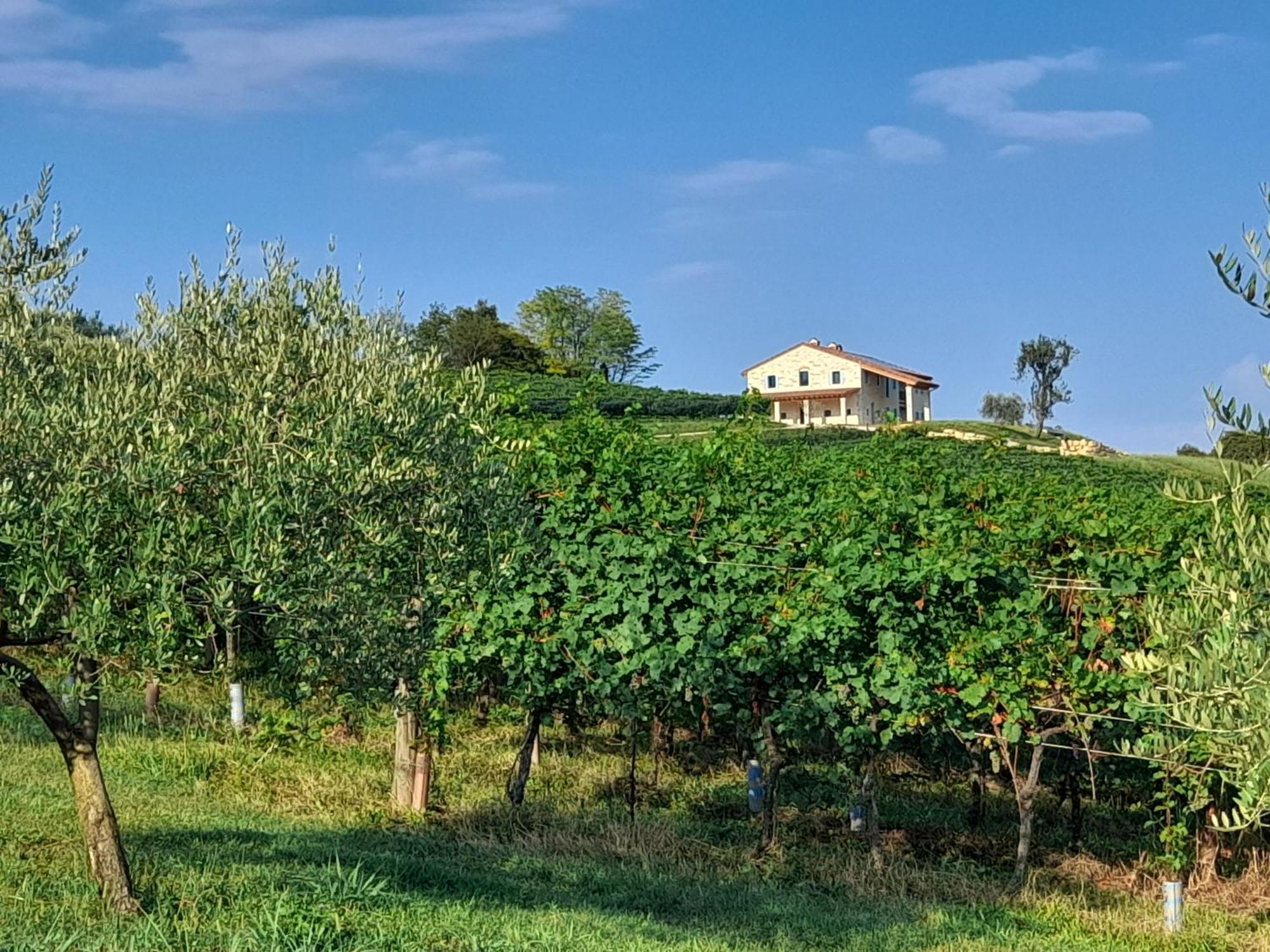 Agriturismo Riva Beata 카바소델톰바 외부 사진