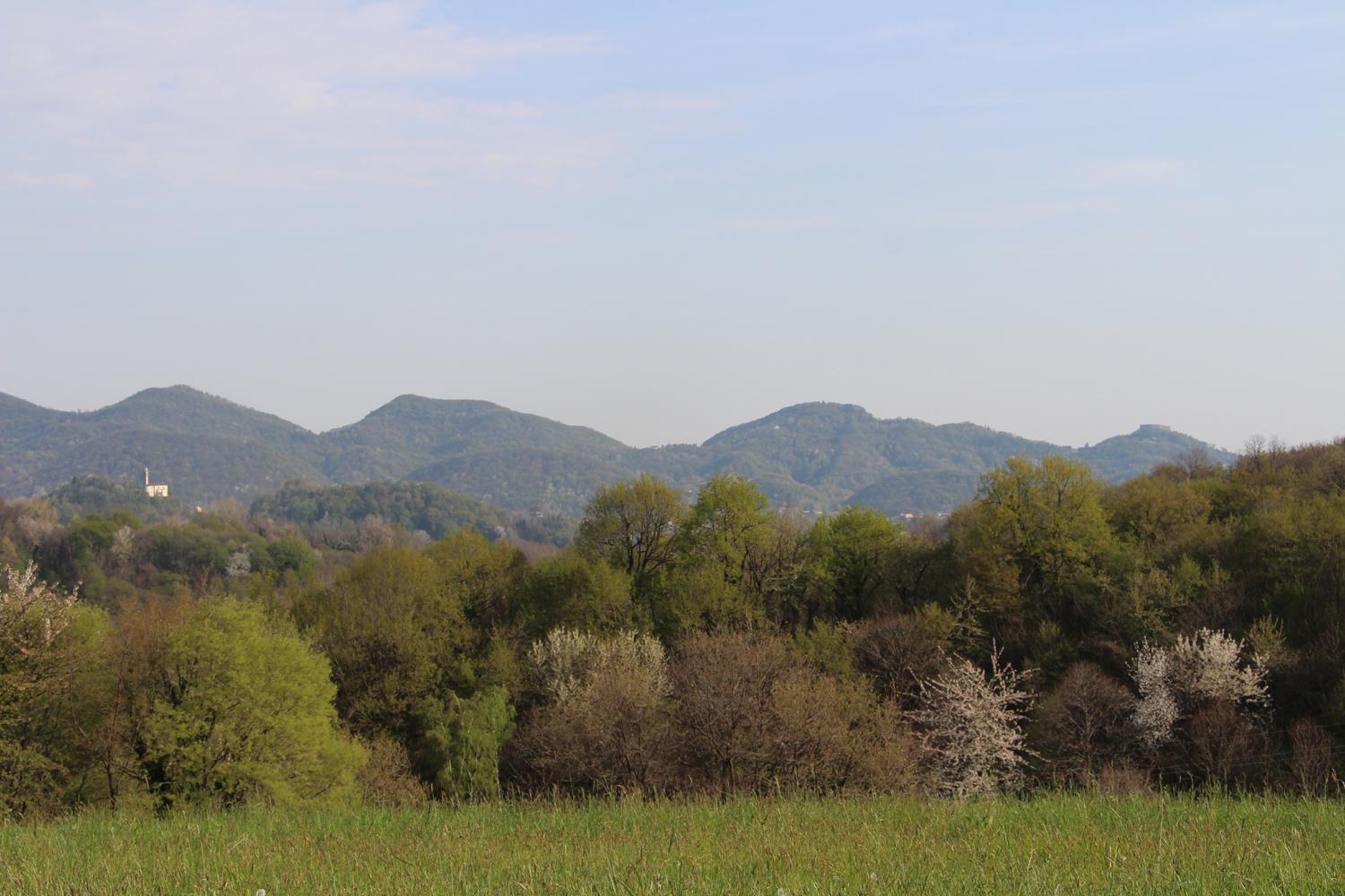 Agriturismo Riva Beata 카바소델톰바 외부 사진